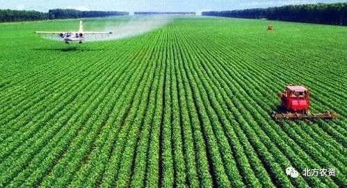 在农村承包多少亩土地才算种植大户？国家会补贴多少钱？